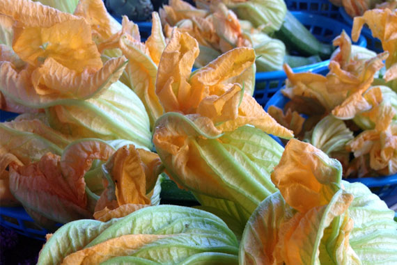 Squash Blossom Fritters My Imperfect Kitchen