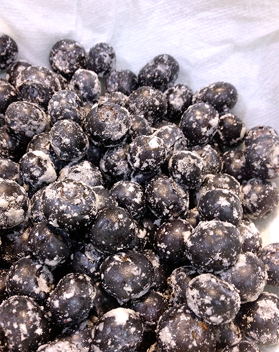blueberries-my-imperfect-kitchen-01