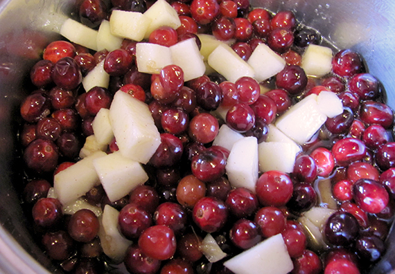 cranberry-sauce-my-imperfect-kitchen-02