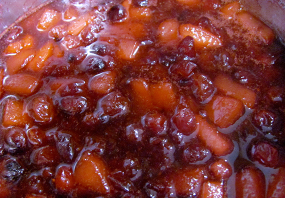 cranberry-sauce-my-imperfect-kitchen-03