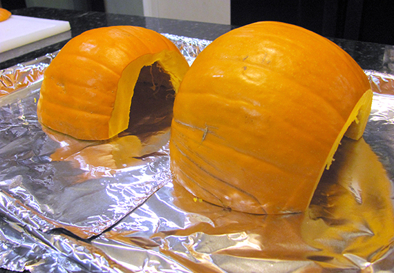 great-pumpkin-experiment-my-imperfect-kitchen-03