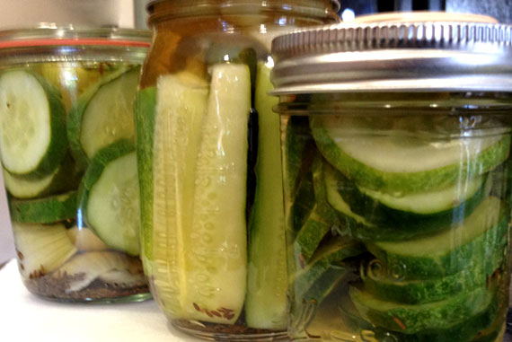 Quick Garlic and Dill Refrigerator Pickles