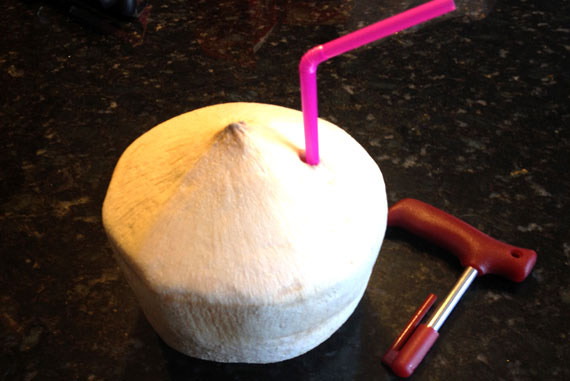 Coconut3