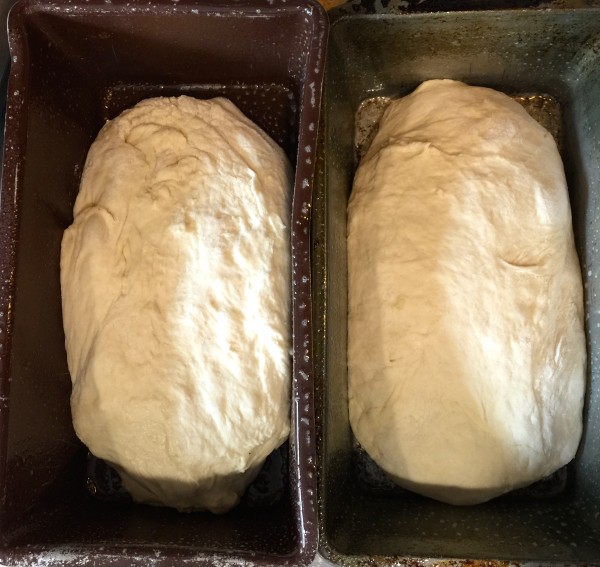 Idaho Potato Bread Loaves