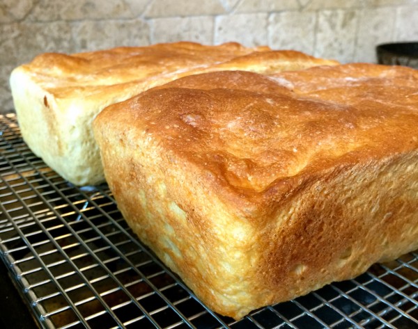 Idaho Potato Bread