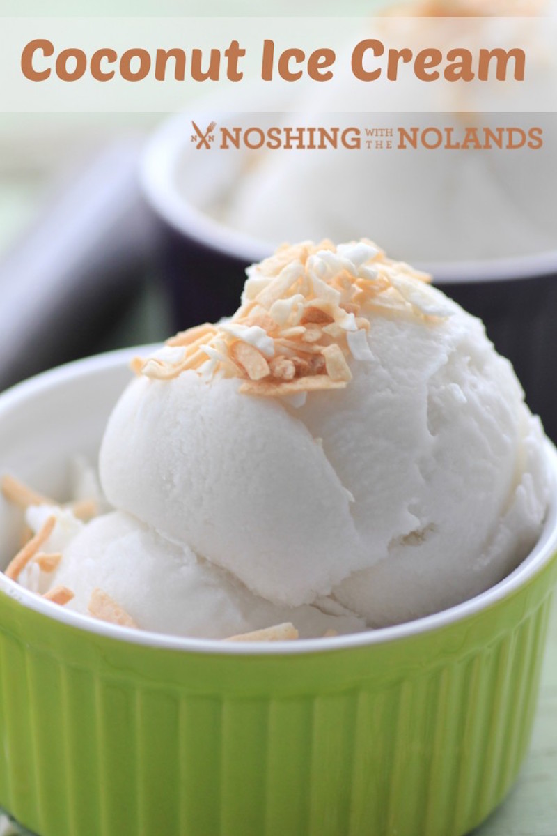 Coconut-Ice-Cream-by-Noshing-With-The-Nolands-4-683x1024