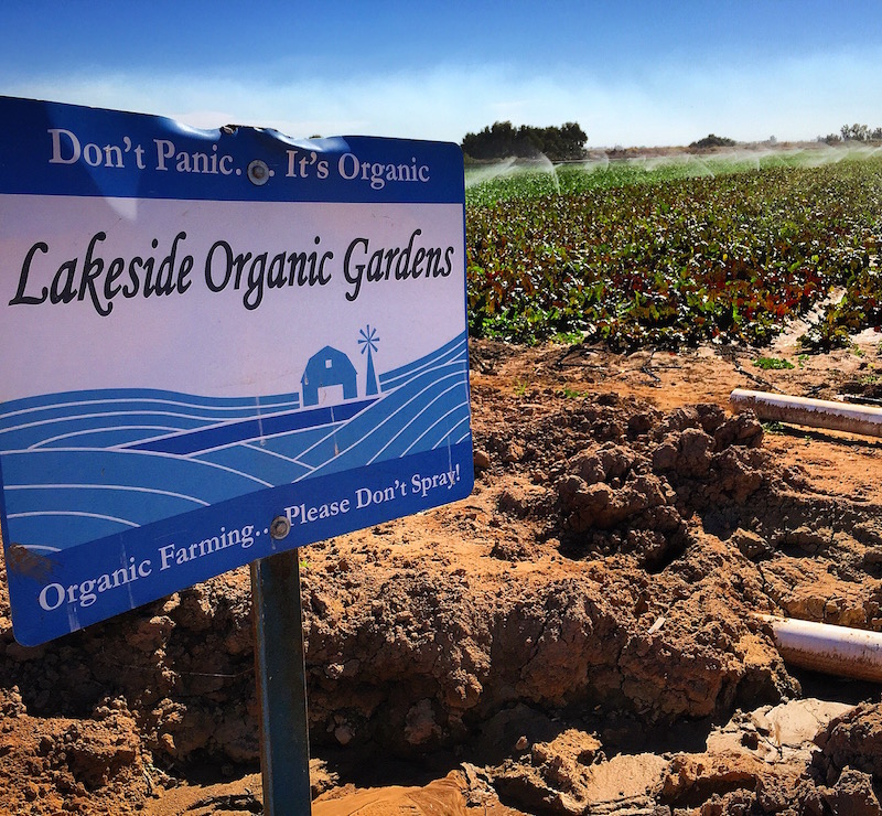 Lakeside Organic Gardens Imperial Valley and Coachella Valley Farm Tour