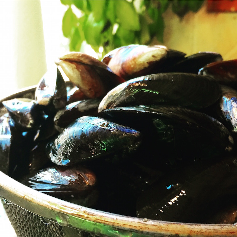 Spicy Mussels with Wine and Chorizo