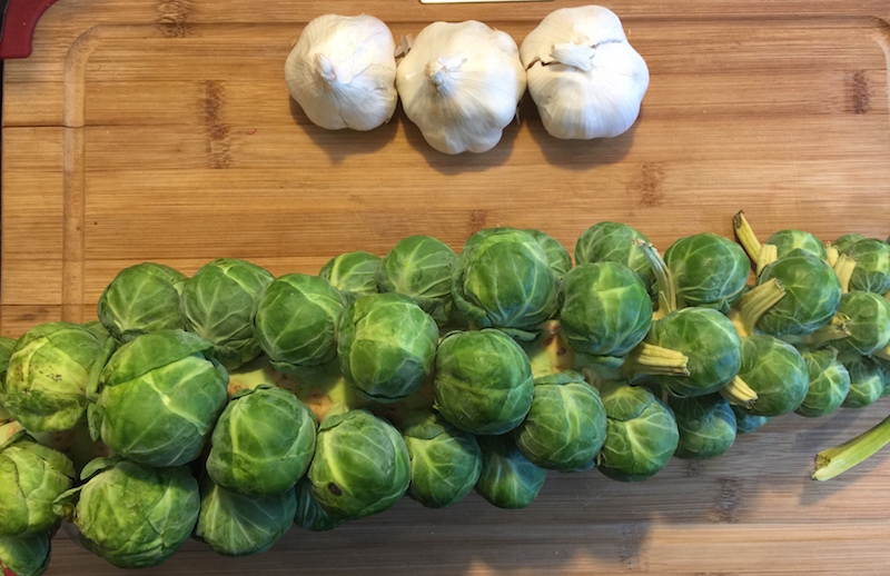 Roasted Brussels Sprouts on a stalk