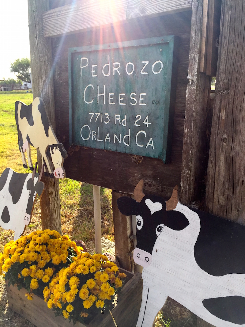 Pedrozo Dairy and Cheese