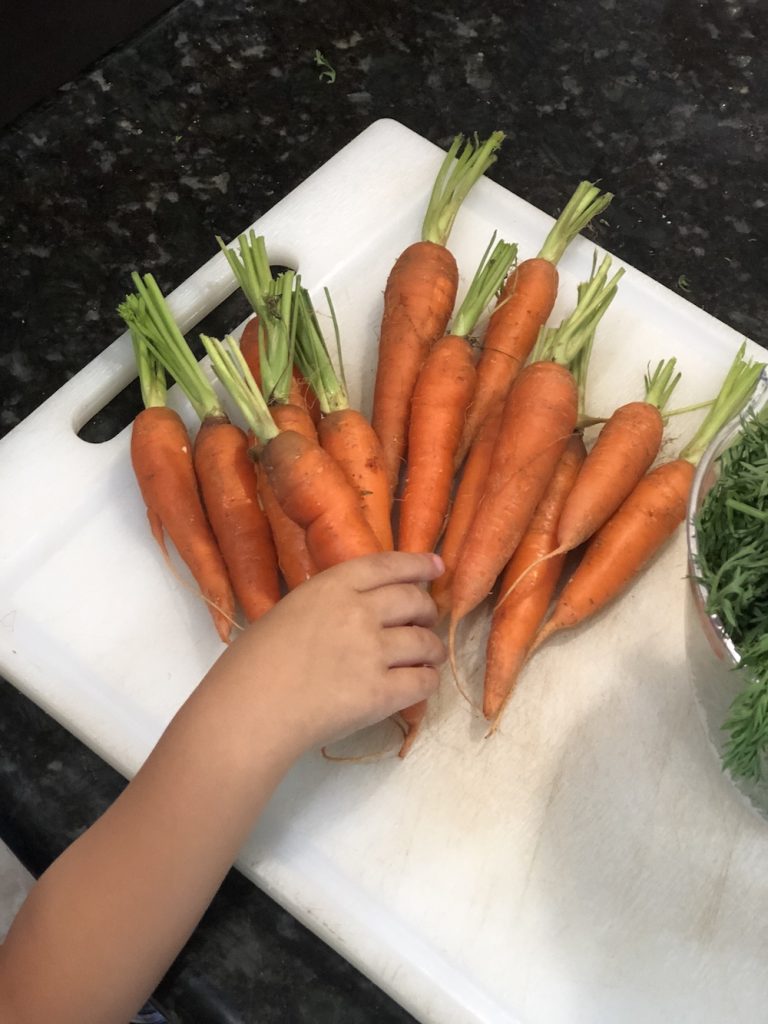 Vegan Carrot Top Pesto